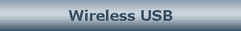 Wireless USB